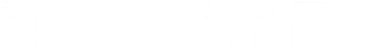 Netlayer